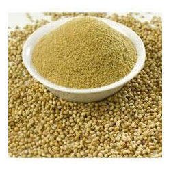 Dhaniya Powder